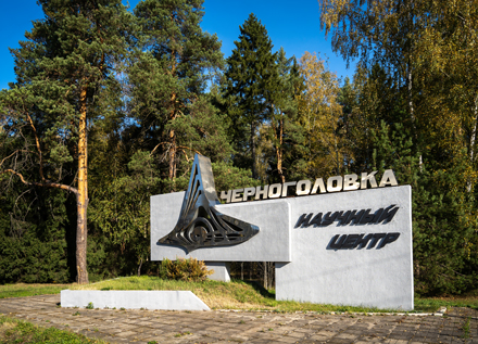 стела_черноголовка